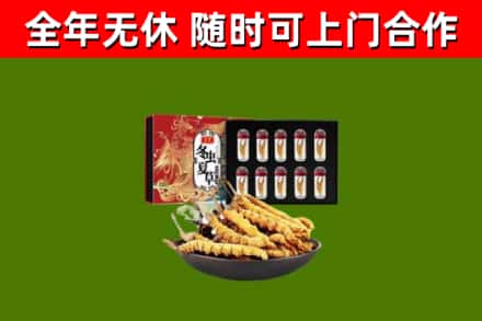 民和县回收冬虫夏草价格