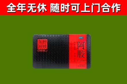 民和县回收阿胶