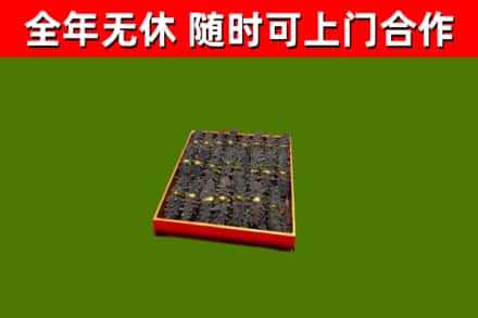 民和县回收海参